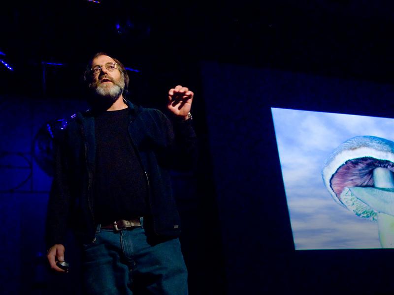 Paul Stamets 6 ways mushrooms can save the world TED Talk